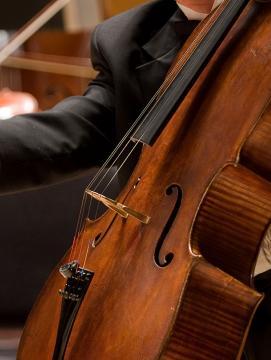 Violoncelle