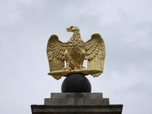Aigle napoléonien 