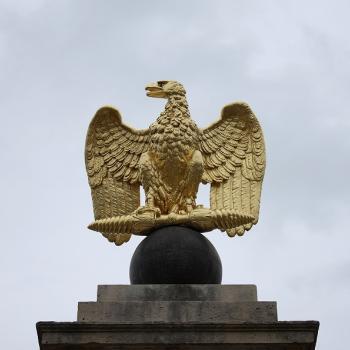 Aigle napoléonien 